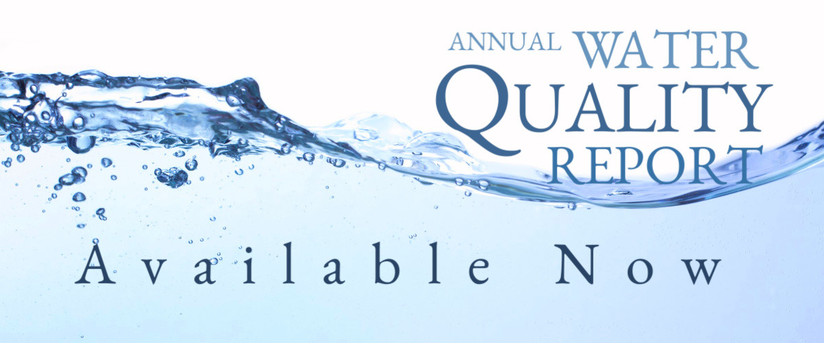 Annual Water Quality Report